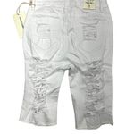 American Bazi Bermuda Twill Shorts (S) Photo 1