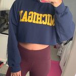 Gildan Michigan Cropped Hoodie Photo 0