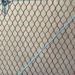 Elegant New Zealand Paua abalone natural shell necklace Blue Photo 2