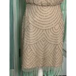 Blush Adrianna Pappell Pink Dress Sequin Detail, NWT, Size 6, Homecoming Photo 2