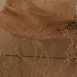 Forever 21 Lacy, Sheer and Stretchy Top Photo 3