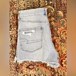 American Eagle NWOT Stigid Denim Shorts Photo 5
