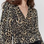 ZARA Pleated Leopard Print V-neck Faux Wrap Crop Top Long Sleeve Blouse, Small Photo 5