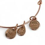 ALEX AND ANI  Meteor Shower Fine Rocks Bangle Rose Gold Tone Bracelet Photo 2