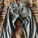 American Eagle Curvy Mom Jean Photo 1