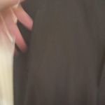 Briggs New York Briggs Size 12 Brown Dress Pants With Pockets Photo 6