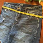 Terra & Sky 18W Jean shorts •  Photo 3