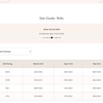 Free People NWT  Duke Concho Belt in Blackberry Photo 2