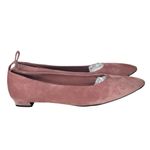 The Row  Lady D Flat Ballerina Pale Flamingo Size 39.5 Photo 7