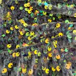 Anthropologie  Sequin Bralette Top Photo 4