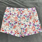 Ann Taylor 🌼💙 Shorts Photo 5