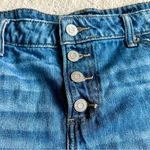 Lucky Brand Cut Off Denim Plus Size Shorts Size 14/32 Photo 6