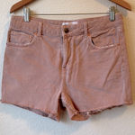 ZARA  Pink Denim Shorts Photo 0