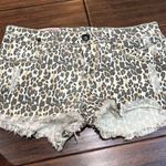 1st Kiss Cheetah Cut-off Distressed Shorts Photo 0