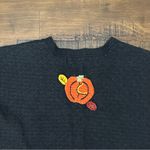 Karen Scott  Large Knit Pumpkin Fall Vest EUC Large Photo 6