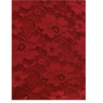 Torrid  Red Stretch Lace‎ High Neck Flare Skater Dress Size 2X Photo 3