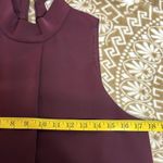Katherine Kelly Lined Sleeveless Dress Deep wine color Size 4 Photo 5