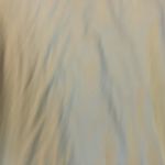 Kyodan  athletic mesh long sleeve top small Photo 1