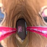 Tony Lama Boots Photo 5