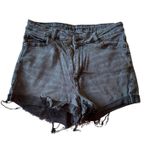 American Eagle American Eagle Outfitters Black Wash Distressed Denim Jean Shorts Size 4 Photo 0