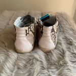 P448 Skate High Top Sneaker Snakeskin Python Print SIZE 41 Photo 6