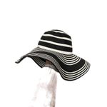 Talbots  striped floppy straw‎ beach hat Photo 1