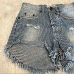 One Teaspoon  25 Blue Striped Distressed Outlaws Low Waist Button Fly Denim Short Photo 4