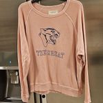The Great ๐ The College Sweatshirt Varsity with Jaguar Graphic Washed Pink 0 XS Photo 5