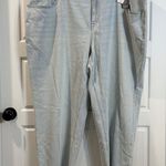 Lane Bryant  Authentic Straight Leg Light Wash Jeans Size 24 NWT Photo 0