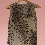 August Silk ( M ) Photo 2