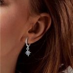 925 Sterling Silver Earrings Photo 3