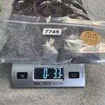 Vitrin Design Lace Vest Womens Large Brown Whimsical Floral Fall Hippie Boho Photo 13