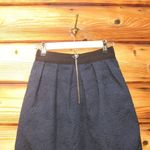 Wilfred Aritzia  Blue  Mini Skirt Photo 5