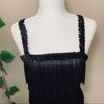 Flapper 1920’s Black Fringe Costume Halloween Photo 3
