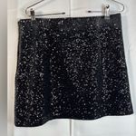 ZARA  NWT velvet & sequin embellished black mini skirt Photo 2