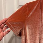 Madewell Velvet V Neck Short Sleeve Top Rose Pink Size L Holiday Party New Years Photo 3