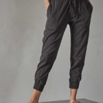 James Perse  Charcoal Jogger Pants Photo 0