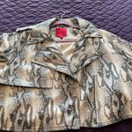 Jennifer Lopez Snakeskin Pleather jacket and Dress Photo 2