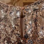 Maeve  by Anthropologie Bernadette Rose Gold‎ Sequin Tiered Midi Dress Size 1X Photo 14