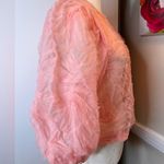 ZARA  Pink Tulle Puff Sleeve Sheer Top medium Photo 4