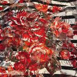 Almost Famous L lace tank top “”. with red florals & black-and-white stripes GUC Photo 4