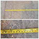 Alex Evenings  Lace Sequin Sheath Dress and Jacket Size 8Petite Gold Formal Event Photo 14