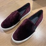 Vince Blair Velvet Slip-On Sneakers Merlot Photo 1