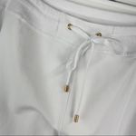 Boston Proper  White Side Stripe Jogger Track Pants Photo 5