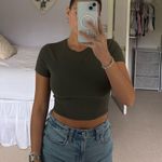 Wild Fable  Top Photo 1