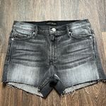 Black Orchid  Liquify Shorts Photo 0