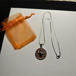 Rhinestone Texas Longhorn Round Pendant Silver Tone Chain Necklace NWOT Photo 1