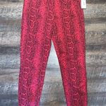 Celebrity Pink Red Tango Snakeskin Print Skinny Jeans Size 11/30 New with Tags Photo 0