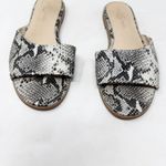 [Yosi Samra] Constantine Snake Python Print Slip On Slides Flat Sandals Size 9 M Black Photo 4