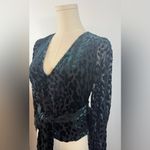 NWT Toccin Louisa Velvet Burnout Top‎ in Teal Black Sz 4 $395 Green Photo 4